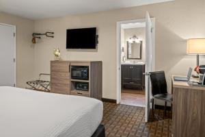 格罗夫兰巴克牧场山林小屋的酒店客房配有一张床、一张书桌和一台电视。