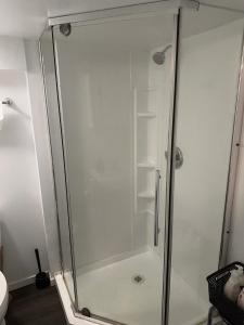 温尼伯Comfortable 3 Bed Basement Unit的浴室里设有玻璃门淋浴