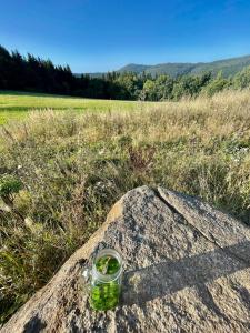 KlínyChata Luční的玻璃瓶坐在岩石上