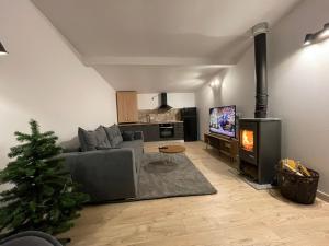 上维谢乌Biutiful Bungalow的带沙发和电视的客厅以及圣诞树