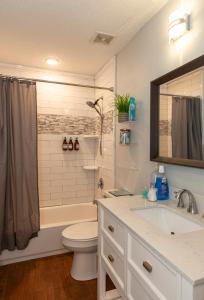 杰克逊维尔Jacksonville Newly Renovated Stylish 3BR Downtown的一间带水槽、卫生间和淋浴的浴室