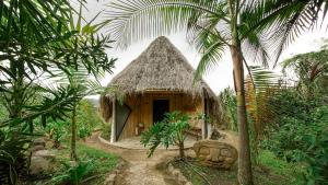 圣奥古斯丁Masaya San Agustin的棕榈树丛林中的一个小小屋