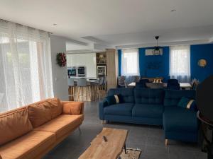 斯特拉斯堡Villa Exclusive的一间带2张蓝色沙发的客厅和一间厨房
