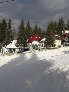 弗拉西克Druga priča的一座有房子和树木的雪地覆盖的院子