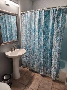 休斯顿Blue Shark *G1* @ Montrose Urban 1BR King Apartment的一间带水槽和淋浴帘的浴室