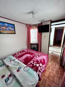 帕斯托Nuevo Horizonte的一间小卧室,配有一张床和电视