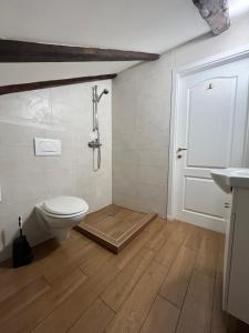 里耶卡Hostel Old School的带淋浴和卫生间的浴室。
