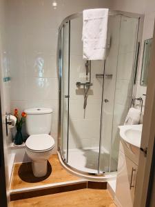 伯恩茅斯Boho Beach House - Beach location的带淋浴、卫生间和盥洗盆的浴室