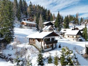 索内纳尔佩·纳斯费尔德Beautiful chalet apartment - ski-in & ski-out的雪地中度假村的空中景观