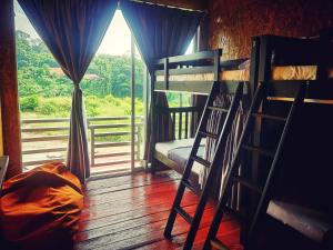 瓜拉大汉Wild Lodge Taman Negara的客房设有两张双层床和一扇窗户。