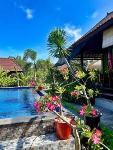 蓝梦岛Island Garden Huts Lembongan的一个带游泳池和一些植物的度假胜地