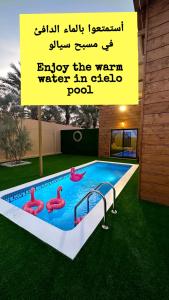 Cielo Beach Resort的游泳池的粉红色火烈鸟广告