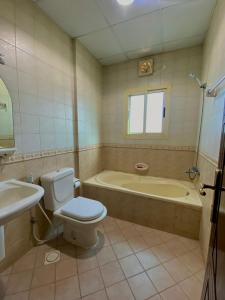 朱菲尔Al Misrea Tower的浴室配有卫生间、浴缸和水槽。
