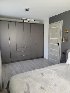 RadviliškisMaironio apartamentai的一间卧室配有一张大床和一个衣柜