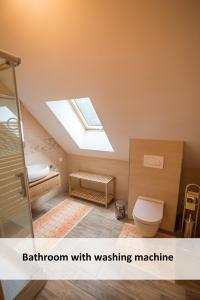 奥托亚克Vineyard cottage Škatlar 3的浴室设有卫生间和天窗。