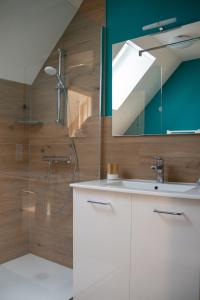 奥尔比Gîte des Pierres de Barme的浴室配有盥洗盆和带镜子的淋浴