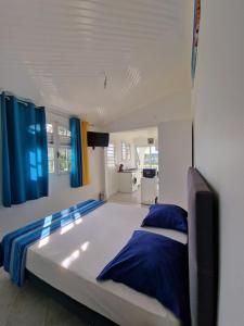 勒拉芒坦Hébergements La Favorite的一间卧室配有一张带蓝色枕头的大床