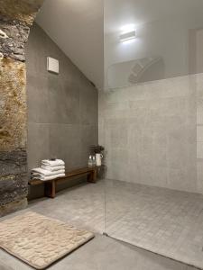 里昂Le Jardin Suspendu Vieux-Lyon - Option Garage的带淋浴的浴室(带石墙)