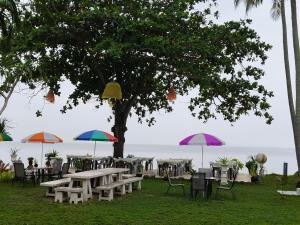 俊穆岛The Wynn Kohjum的一组桌子和椅子,放在树下,有雨伞
