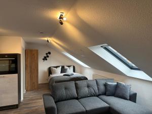 蔡茨Ferienwohnung Zeitz - Weiße Elster Apartment Nr 9的带沙发和天窗的客厅