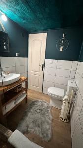 Dorna CîndrenilorDorna Iglu Luxury Glamping Resort的浴室配有白色卫生间和盥洗盆。