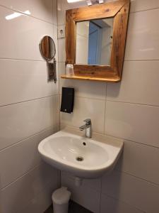弗利辛恩Stad & Strandhotel Elisabeth的一间带水槽和镜子的浴室