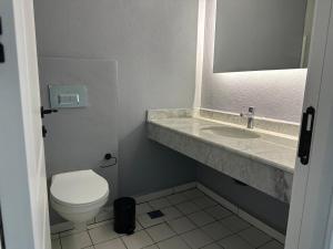 尚勒乌尔法Kançul Hotel Taştepeler的一间带卫生间、水槽和镜子的浴室
