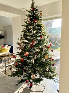马拉费尔特Ballyheifer House - a beautiful 5 bedroom home.的客厅里的圣诞树,下面有猫
