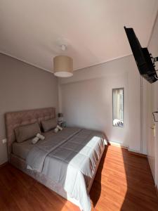 拉里萨TopCentral Apartment的一间卧室配有一张床和一台平面电视