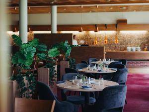 莱达尔绥里莱德尔酒店的用餐室配有桌椅和植物