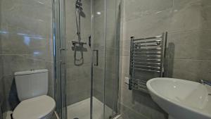 戈尔韦Madison House的带淋浴、卫生间和盥洗盆的浴室