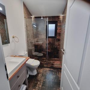 布什泰尼Chalet Amik的一间带卫生间和淋浴的浴室