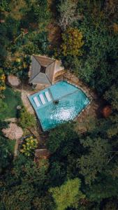 科科尔纳Ecohotel Tierra de Agua的花园游泳池的顶部景色