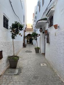 拉巴特Dar El Yacout的建筑两侧有盆栽的小巷