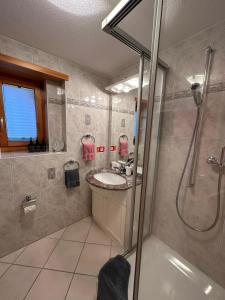 萨斯格伦德贝格夫鲁德公寓的一间带水槽和淋浴的浴室