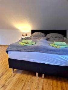 索恩堡Apartment, Boxspringbett, ruhige Lage, Kassel Nähe的床上有两条绿色毛巾