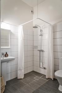 GärsnäsVita Huset på Österlen的带淋浴、卫生间和盥洗盆的浴室