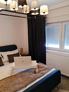 杜伊斯堡Deluxe Apartement mit Terrasse的一间卧室配有一张床铺,桌子上配有一台笔记本电脑