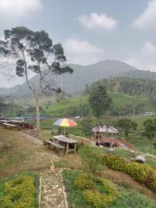 希维德Gunung bangku ciwidey rancabali camp的一组野餐桌,带雨伞