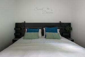 宁斯佩特Lodge Vlinder Nunspeet Veluwe的一张带蓝色和绿色枕头的床