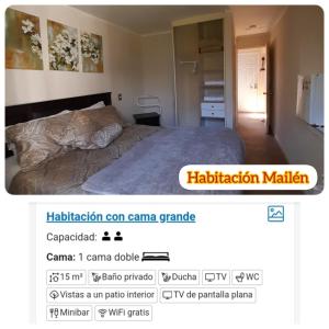 巴拉斯港habitac privada Bed n Bkf Patagonia Norte - Puerto Varas Homestay - BnB Plus的卧室的屏风,卧室配有一张床