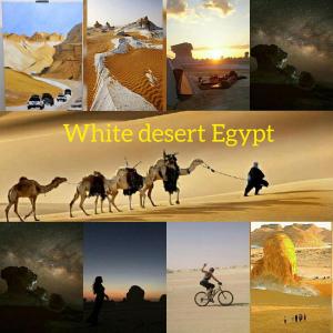 Bawatisafari desert的照片与骑着自行车和骆驼的人相吻合
