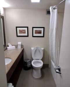 杰克逊Briarwood Inn的一间带卫生间和水槽的浴室