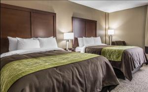 杰克逊Briarwood Inn的酒店客房设有两张床和两盏灯。