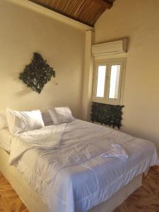 Bawatisafari desert的卧室内的一张白色床,设有窗户
