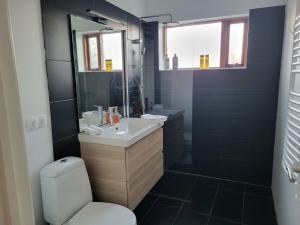 凯夫拉维克Guesthouse Maximilian的一间带水槽、卫生间和镜子的浴室