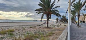 波多黎多德萨贡托cultura y playa的棕榈树海滩和人行道