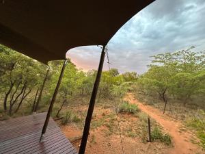 Dinokeng Game ReserveOut in Africa Wildlife Lodge的从野生动物园车内看到土路