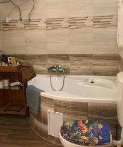布达佩斯盖亚旅馆的带浴缸和卫生间的浴室。