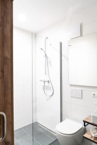 SEKRA Stadthotel的带淋浴和卫生间的浴室
